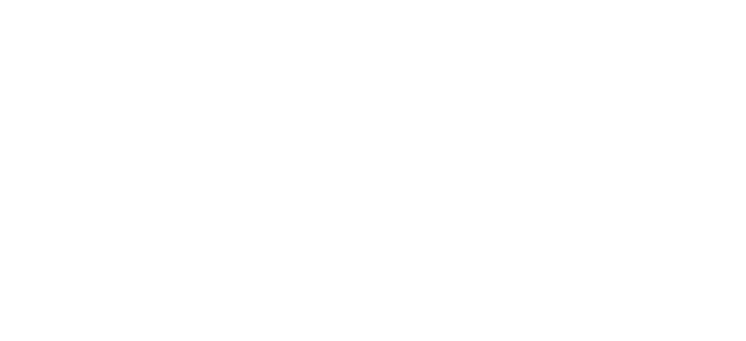 Enshrouded 官方 Logo
